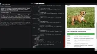 CodeCanvasDesign